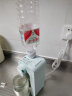 集米（jmey）台式即热式饮水机 便携式烧水壶 速热迷你小型出差旅行电热水壶便携式热饮水开水机 M2PLUS-梵高绿 实拍图