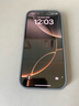 Apple/蘋果 iPhone 16 Pro（A3294）256GB 原色鈦金屬 支持移動聯(lián)通電信5G 雙卡雙待手機(jī) 曬單實(shí)拍圖