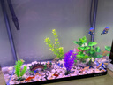 博宇魚(yú)缸造景石 水草鵝卵石水族箱布置 假山沉木仿真 盆景裝飾 水草：K403 曬單實(shí)拍圖