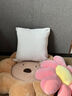 知夢(mèng)人沙發(fā)抱枕頭客廳輕奢高級感床頭靠墊靠背墊雪尼爾床上靠枕套不含芯 珍珠白 50x50cm（枕套+ 枕芯） 曬單實(shí)拍圖