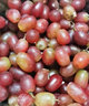 云南無(wú)籽紅提 新鮮水果 當季無(wú)籽紅寶石葡萄 提子 5斤 曬單實(shí)拍圖