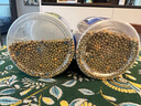 花奈兒園藝花多多2號1號10號12號15號授權店蘭花月季觀(guān)葉促花園藝水溶肥 花多多10號250g（高氮促生長(cháng)肥） 曬單實(shí)拍圖