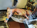 灘羊鮮生 寧夏灘羊肉生鮮全羊整只35斤白條羊年貨禮盒火鍋食材源頭直發(fā) 曬單實拍圖