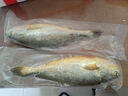 【有機無(wú)抗大黃魚(yú)】黃花魚(yú) 老人孕婦兒童水產(chǎn) 深海鮮活冷凍魚(yú)類(lèi) 400g*2條 曬單實(shí)拍圖