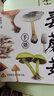 菌中毒余華 陳曉卿 蔣方舟等推薦曾孝濂 楊建昆傾情繪制 真菌博物畫(huà) 21個(gè)有煙火氣的菌子故事 人與菌子一同肆意生長(zhǎng)京東618活動(dòng) 曬單實(shí)拍圖