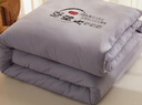 南極人（Nanjiren）大豆被子被芯冬天加厚春秋被保暖冬被被套芯單人被褥棉被學(xué)生蓋被 原綿大豆被-灰色【促銷(xiāo)款】 150*200cm（4斤重）單人春秋被 曬單實(shí)拍圖