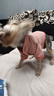 嬉皮狗（hipidog）狗狗衣服新年春節加絨保暖可牽引馬甲中小型犬比熊寵物貓咪喜慶服 牛仔藍色 XS（建議體重1-3斤） 曬單實(shí)拍圖