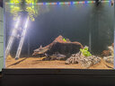 仟湖OF魚缸家用客廳魚缸專業(yè)底濾金魚蘭壽生態(tài)缸造景底柜超白玻璃方缸 紳士灰平面款 600*600*1360mm 曬單實(shí)拍圖