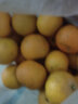 华味仙广西武鸣特产沃柑新鲜水果桔橘子当季时令生鲜 5斤中果 实拍图