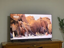 創(chuàng)維電視65A3F 65英寸電視機(jī)一級(jí)能效144Hz 媲美Mini LED 4K液晶游戲智能平板65吋 家電國家補(bǔ)貼 曬單實(shí)拍圖