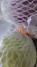 諸氏橙品【有機】蔬菜組合 新鮮現(xiàn)摘蔬菜盲盒4斤裝 隨機5種生鮮蔬菜禮盒 有機蔬菜盲盒4斤裝（隨機5種） 曬單實拍圖