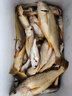 伊酷達（ECOODA）赤隼ERF500帶燈數(shù)顯輪海釣船釣輪近海鼓輪遠投水滴輪防海水漁線輪 赤隼 ERF500【球形把】 左手輪 曬單實拍圖