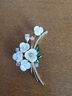 迪后（Dirholl）品牌繁花似錦胸針女款高檔胸花別針西裝配飾生日禮物送女友送老婆 【免費刻字/代謝賀卡】 曬單實拍圖