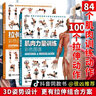 肌肉力量訓練彩色圖譜+拉伸訓練彩色圖譜 運動(dòng)健身體能訓練書(shū)籍 健身書(shū)籍練肌肉 肌肉訓練圖譜塑造書(shū) 無(wú)器械健身教程 健身教練套裝 曬單實(shí)拍圖