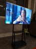 津赢电视支架家庭专用电视架移动电视支架办公会议显示器支架创维小米海信TCL等 适配32-70英寸 实拍图
