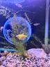 漾夢(mèng)江魚(yú)缸背景貼紙壁紙水族箱造景自粘3d立體5d高清圖壁畫(huà)缸外貼畫(huà)定制 星空星球 60x40x0cm 曬單實(shí)拍圖