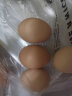 惠寻京东自有品牌 新鲜谷物喂养土鸡蛋10枚装初生蛋360g破损赔付 实拍图