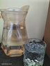 天喜（TIANXI）玻璃杯水杯耐熱加厚杯子茶杯INS飲料杯牛奶杯早餐杯果汁杯啤酒杯 兩只裝 曬單實拍圖