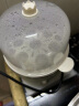 志高（CHIGO） 志高煮蛋器家用大容量蒸蛋器小型迷你早餐煮鸡蛋神器插电使用小蒸锅 PP材质-配量杯 单层 实拍图