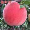 驕瑰 丹東河口艷紅桃現(xiàn)摘東北水蜜桃寬甸燕紅桃10斤裝禮盒裝順豐快遞 曬單實(shí)拍圖
