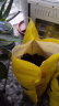 史丹利陶粒垫底小陶粒土养花专用多肉花用铺面花盆花卉种花园艺 实拍图