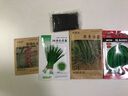 種菜記圣女果種子 櫻桃小番茄種籽 春桃四季西紅柿庭院露地蔬菜種籽柿子 春桃6-6 20粒試種裝 曬單實(shí)拍圖