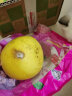 鲜有志红心柚子蜜柚福建平和琯溪冰糖柚当季时令新鲜水果整箱 红心蜜柚 2个【5-6斤】 实拍图