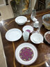 古鎮(zhèn)陶瓷（GUZHENTAOCI） 景德鎮(zhèn)碗碟套裝家用盤飯碗湯碗白瓷玲瓏瓷米飯碗廚房餐具陶瓷碗 白玲瓏 花中嬌客 水杯 曬單實拍圖