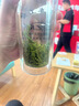 均尚2025新茶正宗湖南石門毛尖高山云霧綠茶嫩芽毛尖濃香茶葉自己喝 【2025新茶】 250g*1袋 曬單實(shí)拍圖