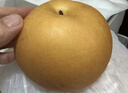 趣嘗鮮 山東羊脂秋月梨 凈重7斤禮盒 6-8枚 單枚400g起 水果 源頭直發(fā) 曬單實(shí)拍圖