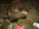 釣嗨尼魚(yú)漂臺州漂氣泡漂手工鯽魚(yú)漂傳統釣椒江淺水草洞高靈敏短漂傳統魚(yú)漂冬釣魚(yú)漂靈敏魚(yú)漂手作魚(yú)漂 臺州漂-E款-7號-全長(cháng)25CM（吃鉛1.39克） 單支（民間特色傳統釣魚(yú)漂） 曬單實(shí)拍圖