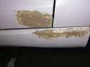 GOOT現代朗動(dòng)補漆筆新伊蘭特自噴漆補車(chē)漆漆面深度劃痕修復神器極地白 極地白 簡(jiǎn)易修復修復方案 曬單實(shí)拍圖
