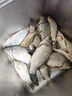 小鳳仙三角尾魚漂套裝高靈敏鯽鯉漂加粗醒目近視大物漂野釣青草鰱鳙浮漂 L-NF套裝1【行程鯽鯉草翹鳊】 醒目三角尾/3支禮盒裝 曬單實(shí)拍圖