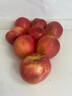 甜芋果月新鮮嘎啦蘋(píng)果加力果咖喱果新鮮水果佳麗果嘎啦蘋(píng)果 5斤 曬單實(shí)拍圖
