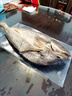 胖子大黃魚(yú)鲞袋裝風(fēng)干黃花魚(yú)干寧波特產(chǎn)海鮮干貨舟山咸魚(yú)海魚(yú)白鲞 新曬黃魚(yú)鲞500克 袋裝 曬單實(shí)拍圖