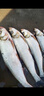 歐娜（OLLA）新款進(jìn)口日本歐娜魚(yú)鉤細絲泥鰍鉤寬鉤門(mén)掛蝦活餌筏釣鉤翹嘴路亞鉤 超細泥鰍鉤30枚 13號 曬單實(shí)拍圖