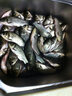富源百川風(fēng)旗艦魚(yú)線(xiàn)主線(xiàn)超強拉力迷彩線(xiàn)斑點(diǎn)魚(yú)線(xiàn)子線(xiàn)野釣黑坑競技 子線(xiàn) 75米 -透明 0.4號 曬單實(shí)拍圖