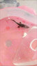 鱘魚苗淡水養(yǎng)殖大型冷水魚可食用中華觀賞魚缸清潔批發(fā)鱘魚魚苗 優(yōu)質(zhì)鱘魚苗10-13厘米5條 曬單實拍圖