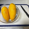 冠福記正宗海南小臺農芒果新鮮當季特產小臺芒金孕婦煌熱帶水果10斤特產 8斤禮盒裝 曬單實拍圖
