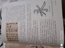 中國最具代表性書(shū)法作品 智永 真草千字文（第二版） 曬單實(shí)拍圖