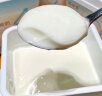 简爱轻食酸奶4%蔗糖 风味发酵乳DIY酸奶碗 大桶酸奶400g*1  实拍图