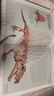 DK恐龍與史前生命圖解百科 Dinosaurs and Other Prehistoric Life 進(jìn)口原版 英文書(shū) 曬單實(shí)拍圖