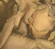 溫氏 供港老母雞凈重3.2斤 富硒農(nóng)家散養(yǎng)走地雞 散養(yǎng)500天以上 冷凍 曬單實拍圖