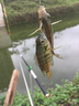 比爾傲威 不銹鋼炮臺支架釣魚竿支架手竿架桿架竿垂釣漁具用品 加粗加硬款不銹鋼支架【帶地插】 2.1米 曬單實(shí)拍圖