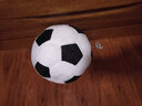 萌萌豬 仿真布藝足球毛絨玩具球形抱枕籃球禮品兒童幼兒園小學(xué)生道具禮物 經(jīng)典黑白(足球) 小號20厘米 曬單實(shí)拍圖