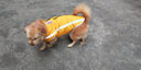 楚克奇（CHUKCHI）狗狗衣服秋冬裝中型犬大型犬柯基大狗寵物服裝兩腳衣反光沖鋒衣 黃 XL【建議14-17斤左右】 曬單實拍圖