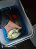 穿透王爆小鯽魚(yú)餌料小藥瓜子鯽麻鯽白條魚(yú)餌添加劑野釣魚(yú)小藥黑坑誘魚(yú)劑 爆小鯽 60ml【瓜片鯽紅鯽麻鯽】 曬單實(shí)拍圖