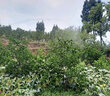 farmer bobo一寸合金搖臂噴頭360度自動旋轉(zhuǎn)園林果樹草坪農(nóng)田灌溉霧化灑水器 噴頭+1.5米支架 曬單實拍圖