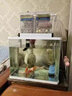 蛻變空氣缸魚(yú)缸過(guò)濾器魚(yú)池過(guò)濾系統龜缸過(guò)濾器上置滴流盒魚(yú)缸上置過(guò)濾盒三合一過(guò)濾器diy過(guò)濾盒 全套盒子配件+全套濾材（配齊配滿(mǎn)）+配套水泵 3層3盒過(guò)濾盒合適【21到36厘米的魚(yú)缸】 曬單實(shí)拍圖