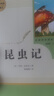 金波作品精選：追蹤小綠人 金波童話散文自選集 我喜歡你金波兒童文學(xué)精品系列 曬單實(shí)拍圖